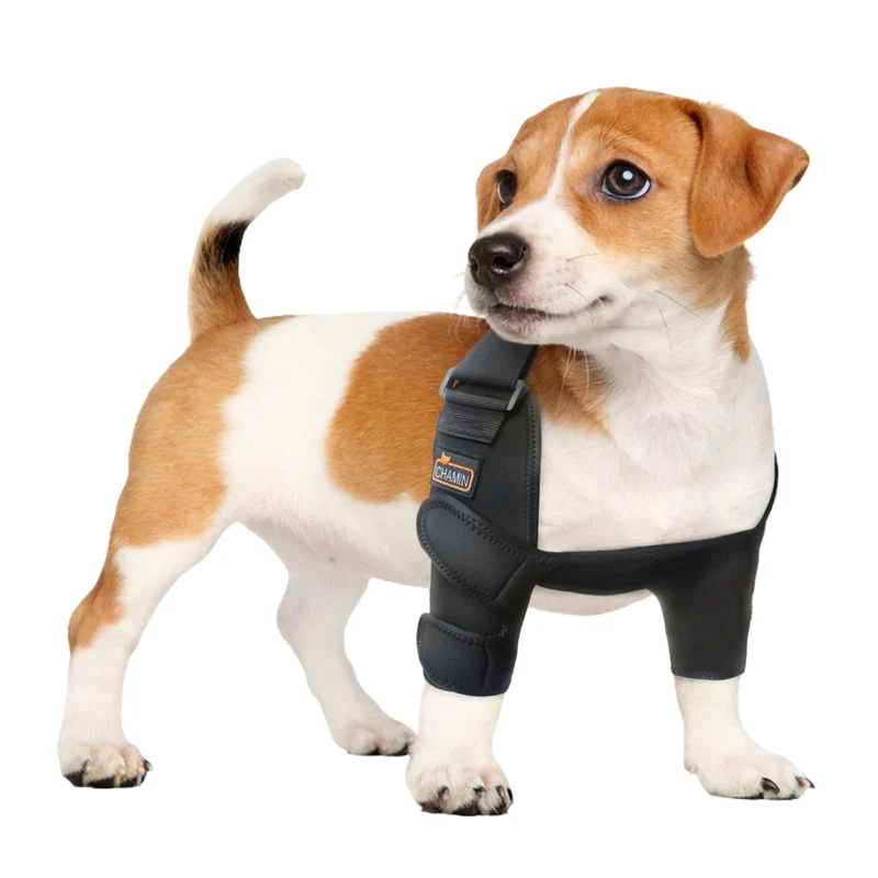 CHAMIN Orthèse de coude pour chien – protection et soutien de la patte avant et de l’épaule
