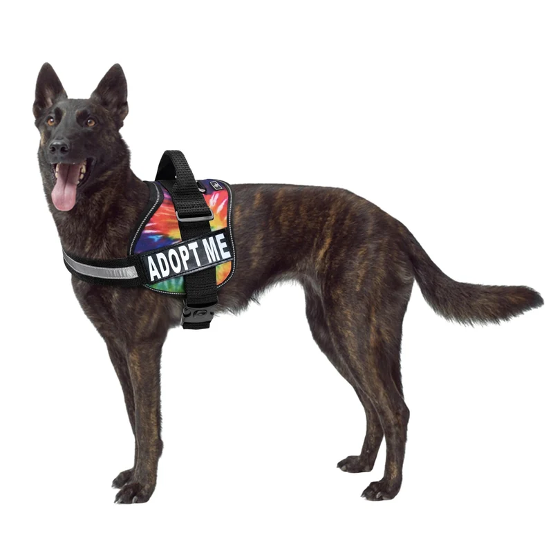 Doggie Stylz Harnais Nylon Adopt Me — Harnais réfléchissant pour chiens de toutes tailles