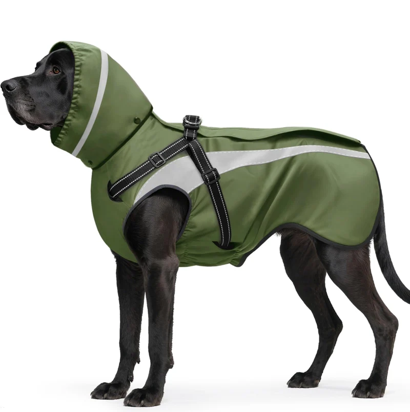 Mosucoirl Manteau Pluie pour Chien — Imperméable, Capuche et Réfléchissant, Tailles S à XXL (Vert, XXL)