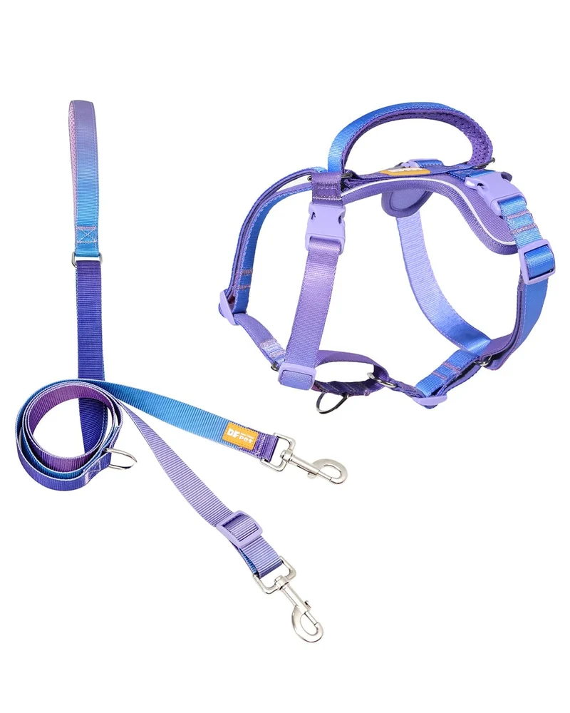 DF Freedom Harnais Martingale Anti-Tirage avec Attache Frontale et Poignée Rembourrée – Arc-en-Ciel, Tour de Poitrine 51–68 cm