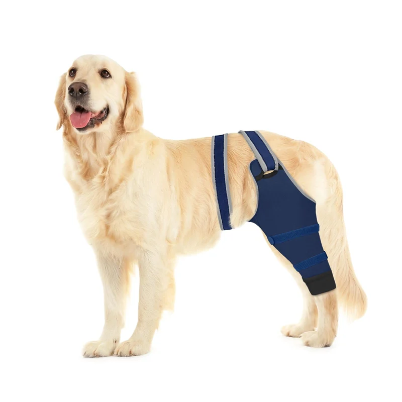 Manchon patte arrière Joypig – Prévention du léchage et récupération confortable après chirurgie (bleu profond)