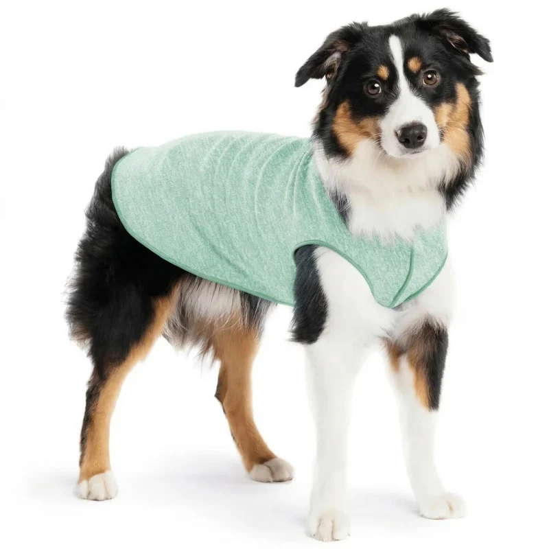 Chemise solaire Goldpaw pour chien – Protection UV UPF50+ légère et rafraîchissante (Pistache Vert, Taille 14) – Fabriquée aux États-Unis