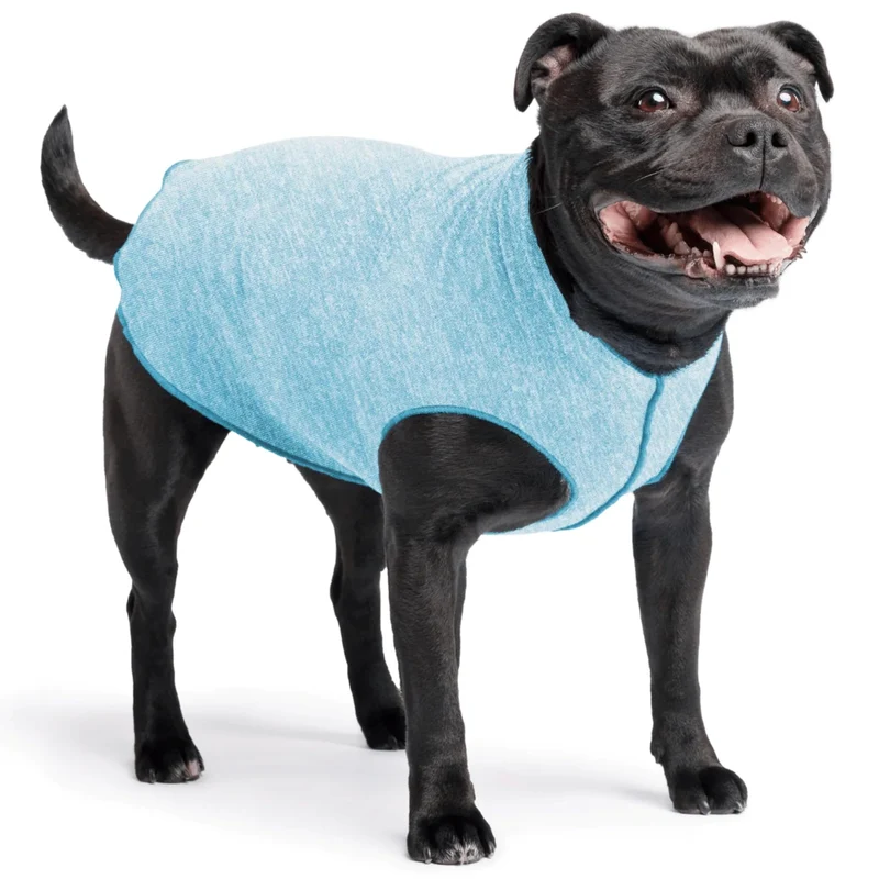 Goldpaw Chemise solaire pour chien – Protection UV UPF50+, légère et respirante (Bleu Océan, Taille 16) – Fabriqué aux États‑Unis