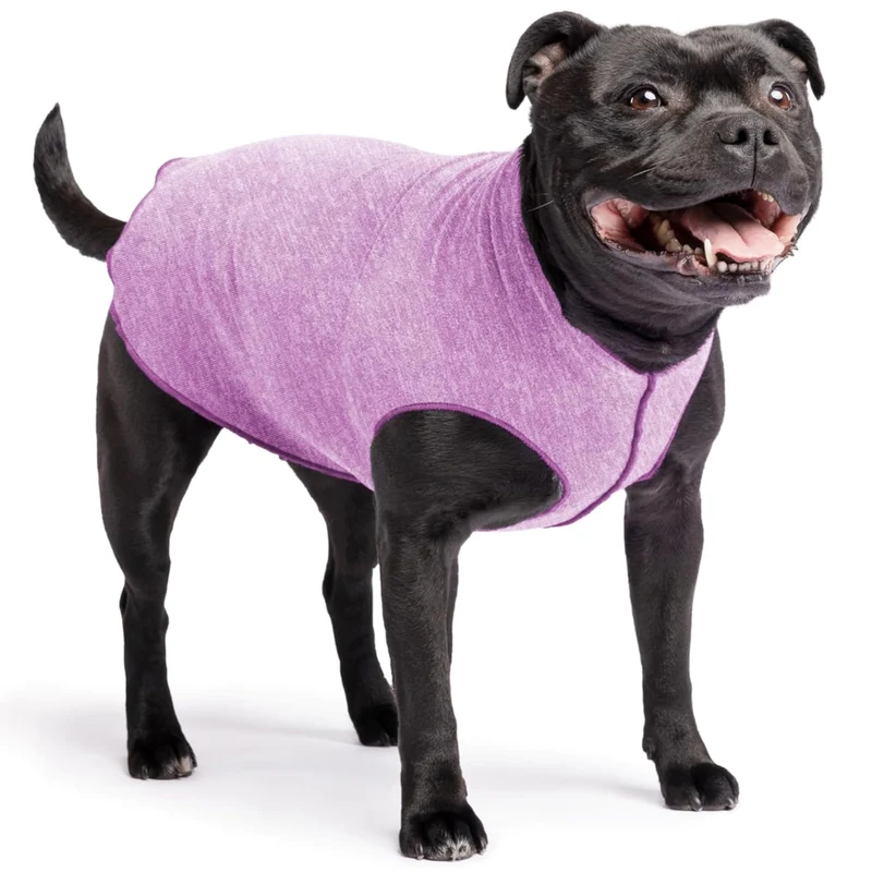 Goldpaw chemise soleil pour chien UV 50+ Violet – légère et rafraîchissante, taille 16, fabriquée aux États‑Unis
