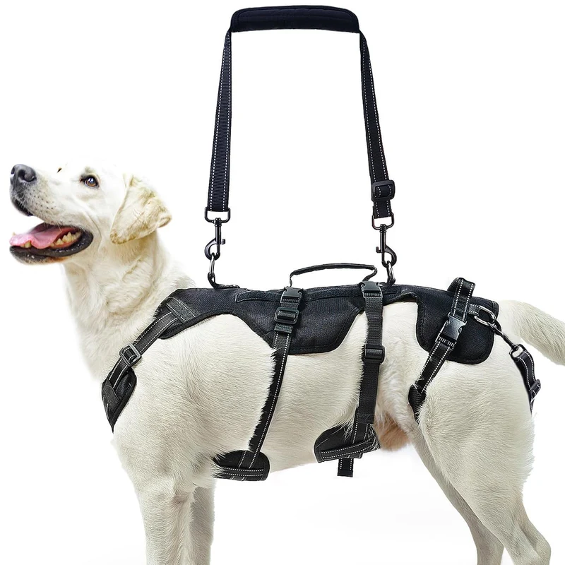 PUPTECK Harnais de levage pour chien moyen/grand – Aide mobilité et rééducation