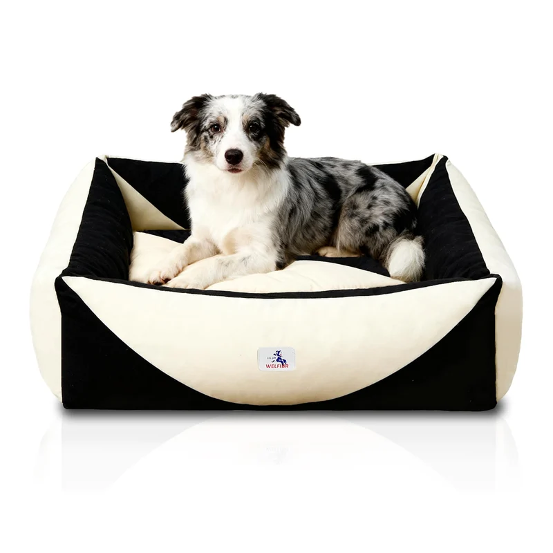 Welfibr Canapé-Chien en Coton Canvas 290 GSM (M) – Housse Lavable et Base Anti-Glisse
