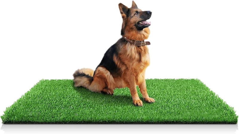STARROAD-TIM Gazon Artificiel pour Chiens — Zone Toilettage 59,1 x 39,3 po, Usage Intérieur et Extérieur