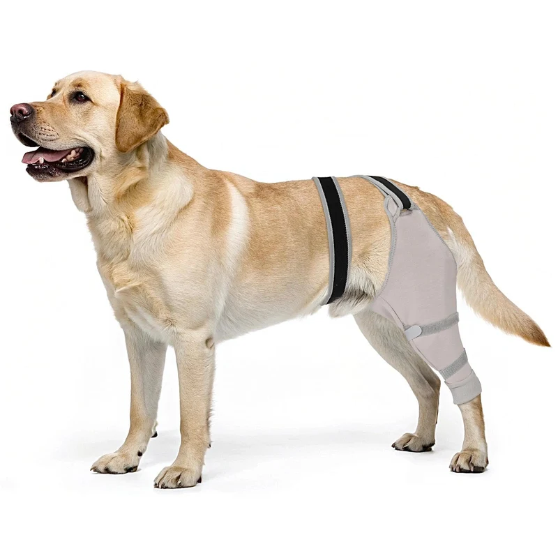 Joypig — Manchon pour patte arrière du chien, protection post-chirurgie et récupération sans cône (TPLO/ACL)