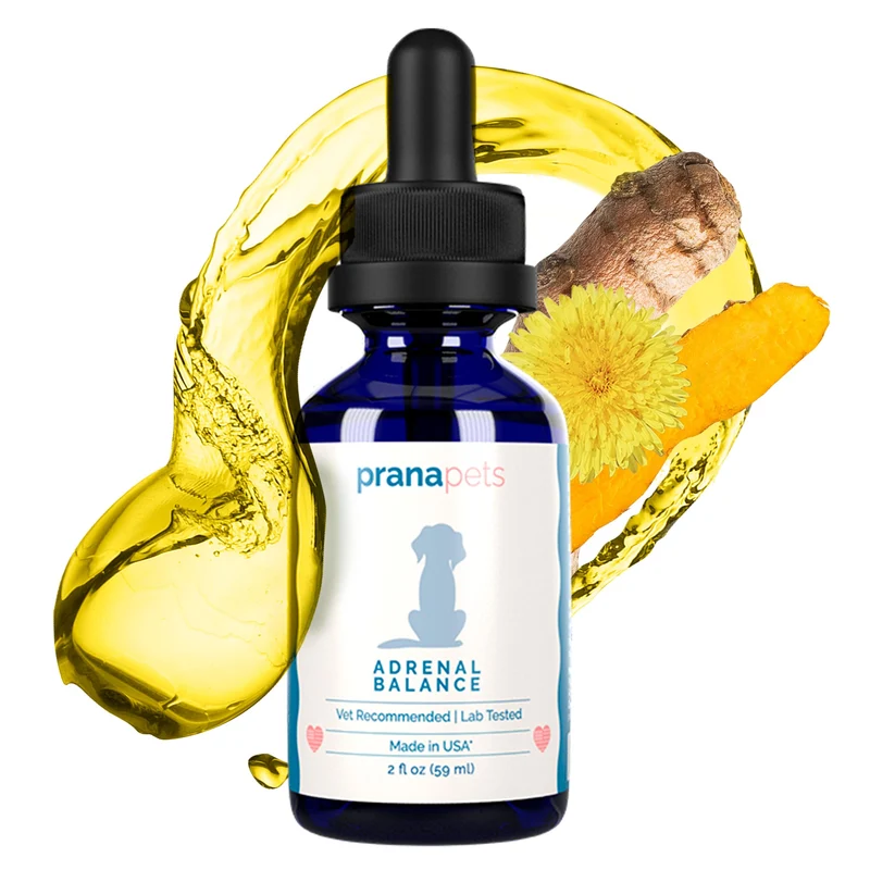 PranaPets Équilibre surrénal pour chiens – soutien naturel et bien-être