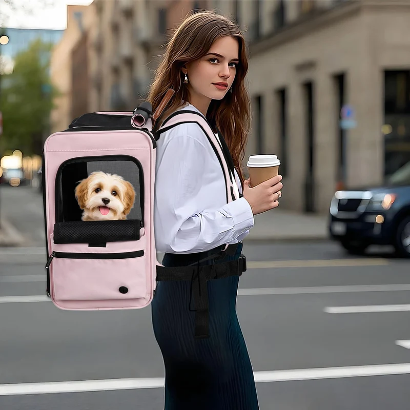 EliteField Deluxe Sac à Dos Porte-Animaux – Approuvé en Avion, Garantie 3 Ans
