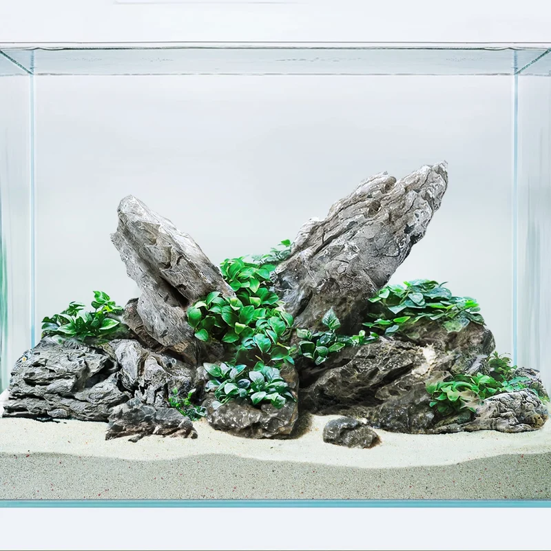 LANDEN Pierres Seiryu naturelles pour Aquarium et Aquascaping – 36 livres, 3–11 pouces