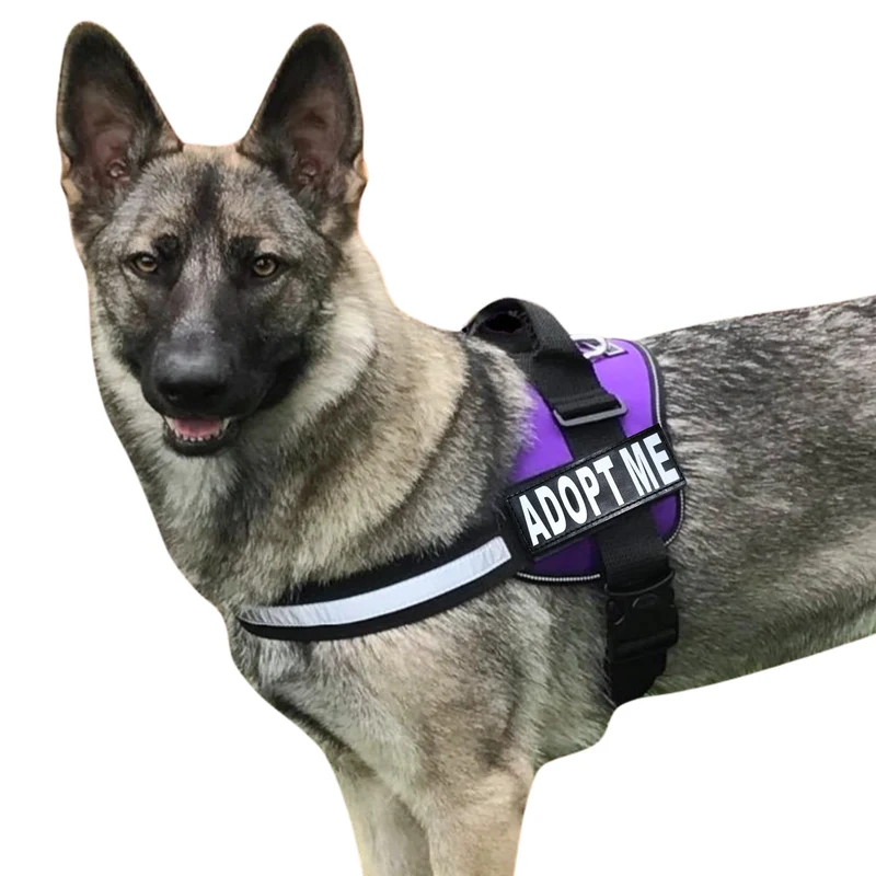 Doggie Stylz Adopt Me Harnais Nylon avec 2 Patches Réfléchissantes – Harnais pour Chiens de Toutes Tailles