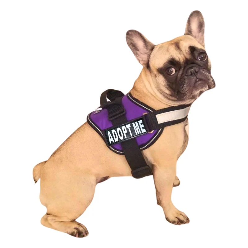 Doggie Stylz Harnais Nylon Adopt Me avec 2 Patchs Réfléchissants Amovibles – Harnais polyvalent pour Chiens Petits et Grands