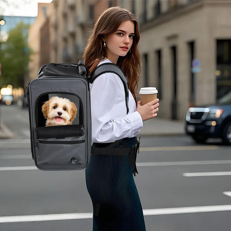 EliteField Deluxe Sac à Dos Porte-Animaux – Conforme à la Cabine, Garantie 3 Ans