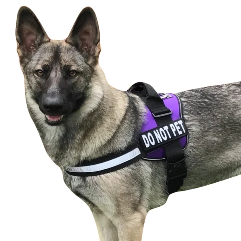 Doggie Stylz Harnais pour Chiens avec Patch DO NOT PET – Veste d’Assistance et Service Animal, Réglable et Réfléchissante