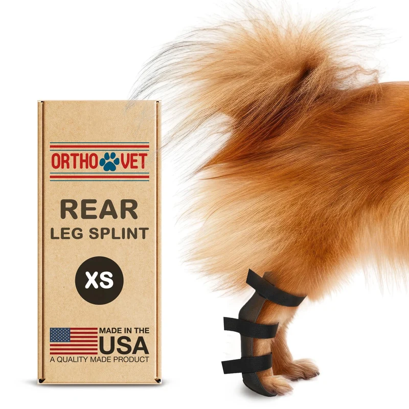 OrthoVet Attelle Arrière Standard pour Chiens – Soutien Léger et Durable (XS)