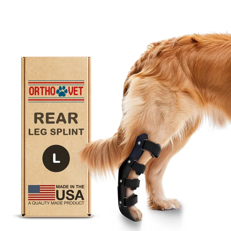 OrthoVet Attelle Standard pour Patte Arrière – Soutien Durable et Léger, Rééducation et Protection Post-Chirurgie