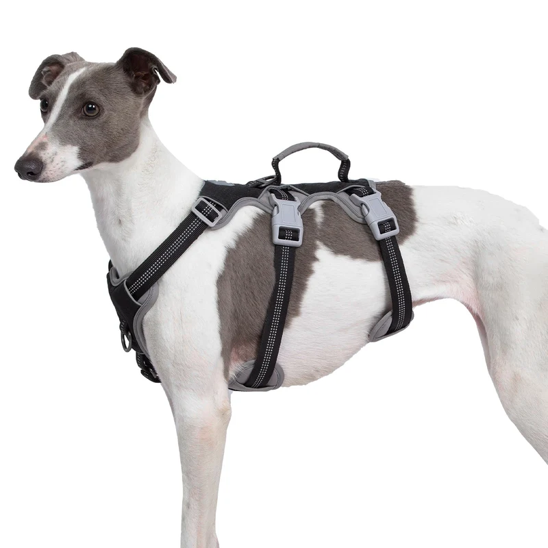 Harnais Huntboo anti-évasion pour chien — sécurité, confort et visibilité (Taille L)
