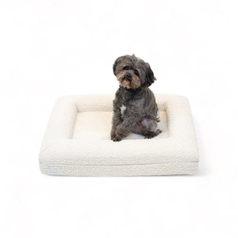 Bluewater Dog Lit Orthopédique Luxe Bouclé – Mousse Mémoire CertiPUR-US, Housse Lavable et Doublure Étanche (Petite, Cloud)