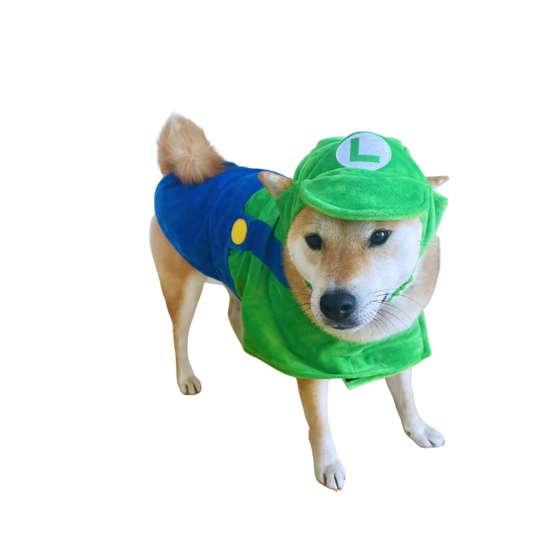ComfyCamper Chapeau et Cape pour Chien – Costume Espace Vert, Tailles XL/L/M, Cosplay Halloween