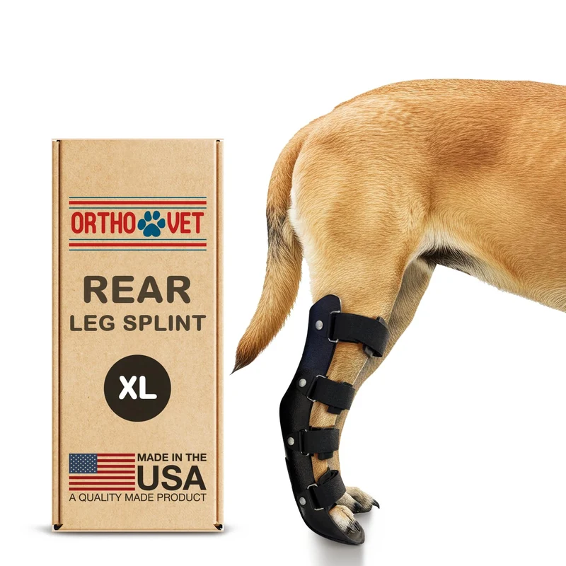OrthoVet Attelle Arrière Standard pour Chiens – Soutien Durable et Léger (XL)