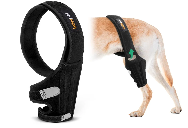 Lyderpet Attelle de Genou pour Chien XXL — Soutien Robuste et Flexible pour LCA et Luxation Patellaire