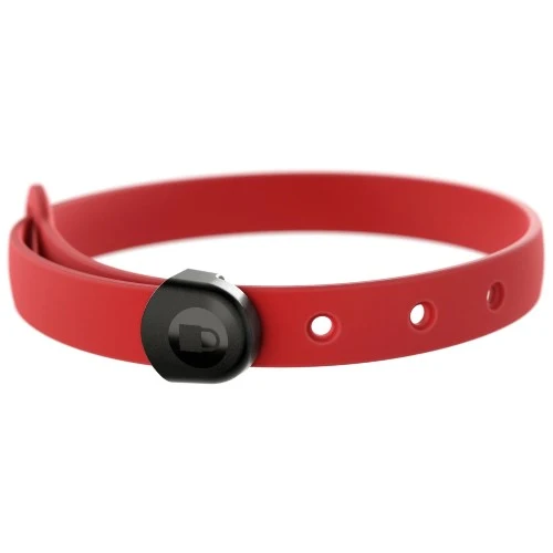 Nuvuq Collier ajustable pour mini chien, Rouge tomate