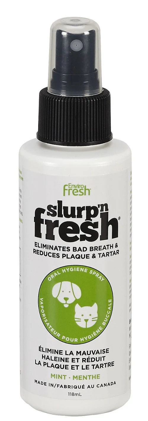 Envirofresh Slurp'n Fresh en spray buccal - Menthe