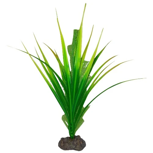 Plante Betta de qualité supérieure - Myriophylle aquatique - 20 cm (8 po)