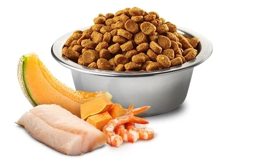 FARMINA MORUE, CREVETTE, POTIRON & MELON POUR CHATON