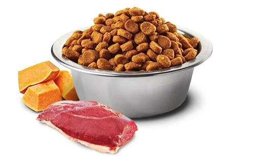 FARMINA N&D, CANARD, POTIRON & MELON POUR CHAT ADULTE