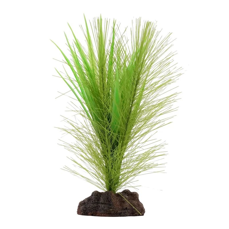 Plante Aqualife Fluval avec base de pierre - Myriophylle brésilien vert et vallisnérie