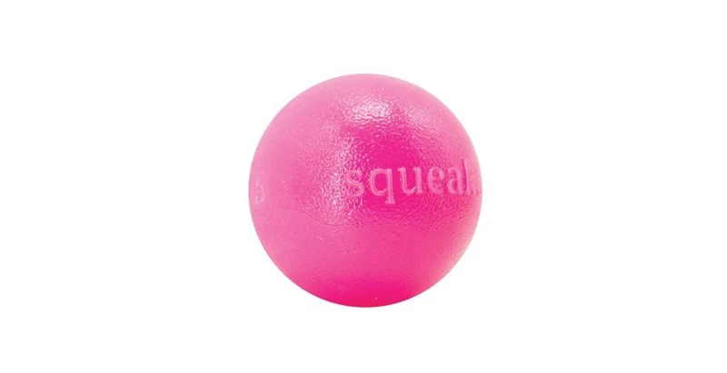 Outward Hound – Balle Squeak