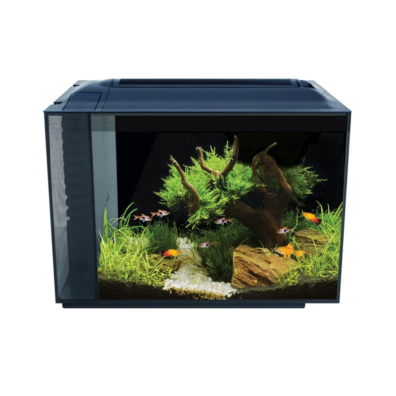 Aquarium équipé SPEC Fluval, noir, 60 L (16 gal US)