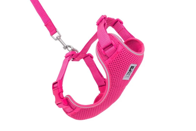 Harnais pour chat Framboise - ADVENTURE KITTY HARNESS - RC Pets
