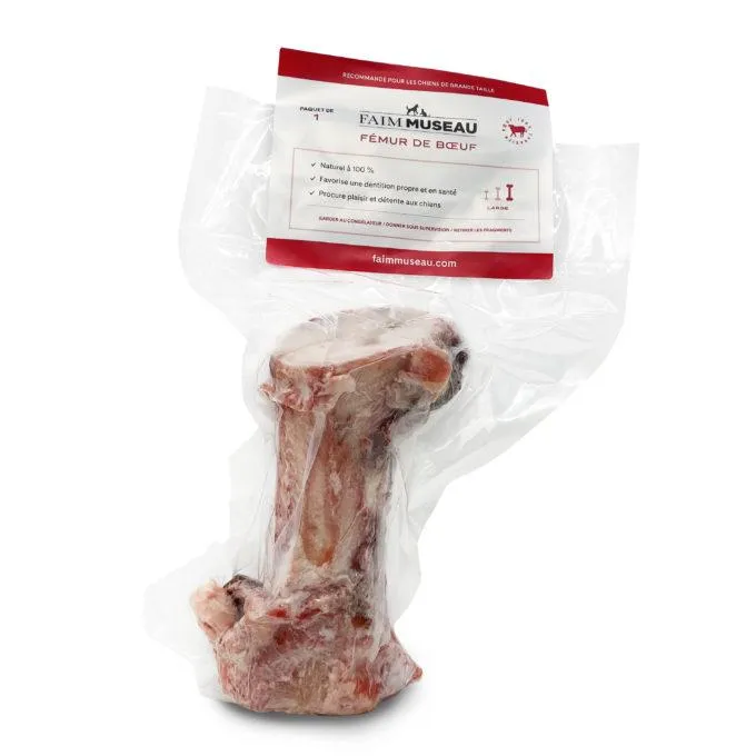 Nourriture crue pour chien Faim Museau - Fémur de Bœuf Moyen