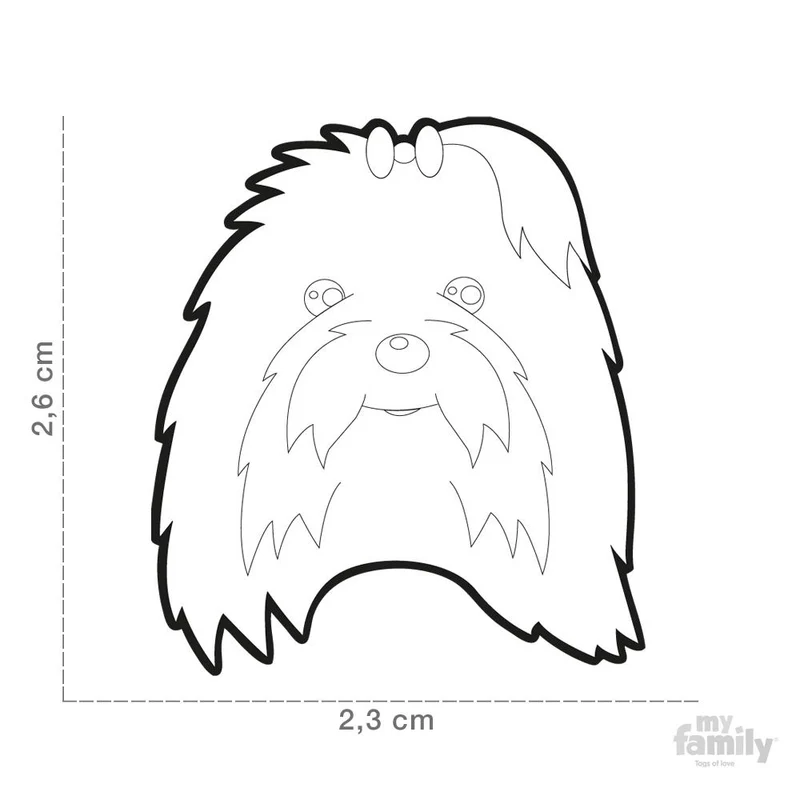 Médaille pour chien collection Friends, BICHON MALTAIS