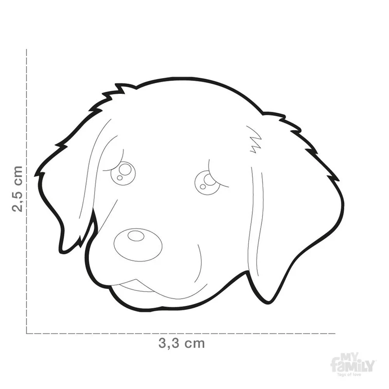 Médaille pour chien collection Friends, GOLDEN RETRIEVER
