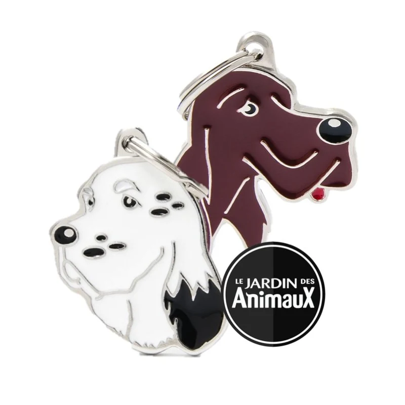 Médaille pour chien collection Friends, SETTER, Couleurs variées