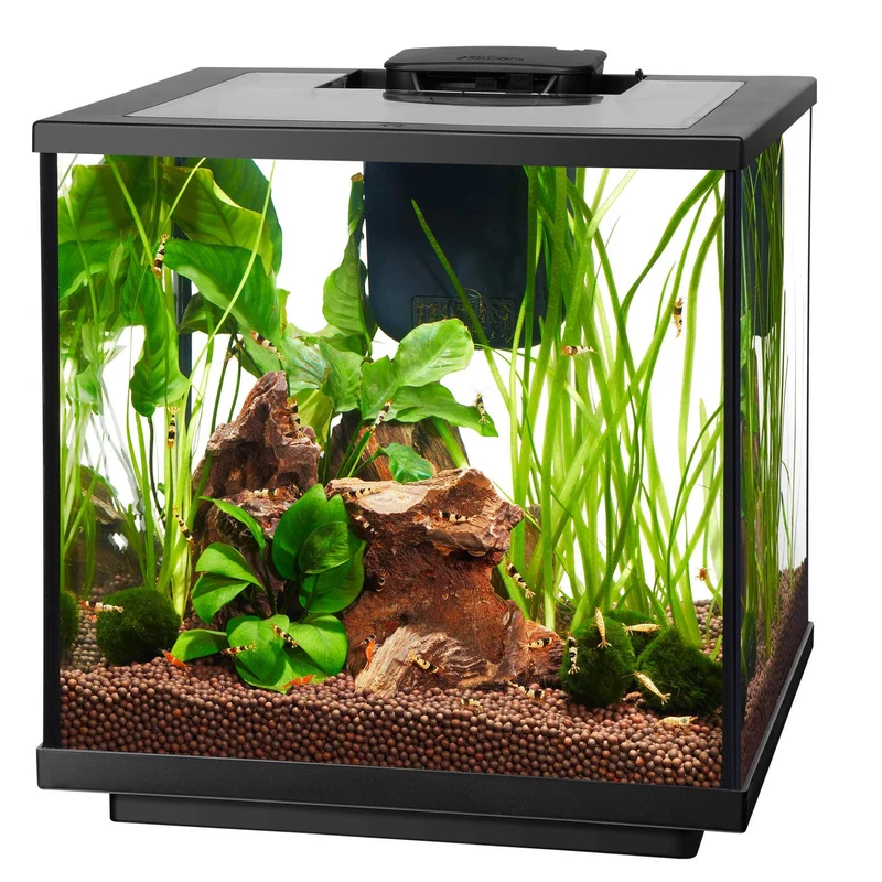 Aquarium pour crevette avec DEL, AQUEON 7,5 gal.