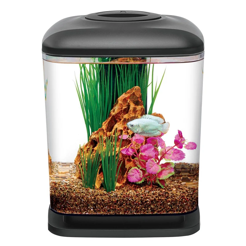 Aquarium de bureau MiniCube LED - 1,6 gal