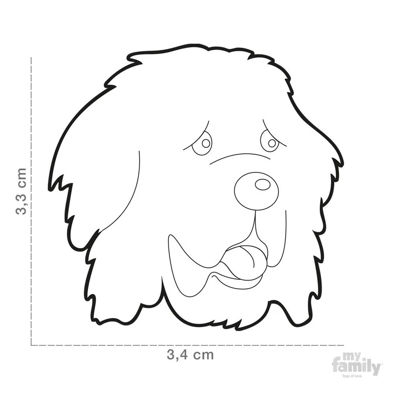 Médaille pour chien collection Friends, TERRE-NEUVE