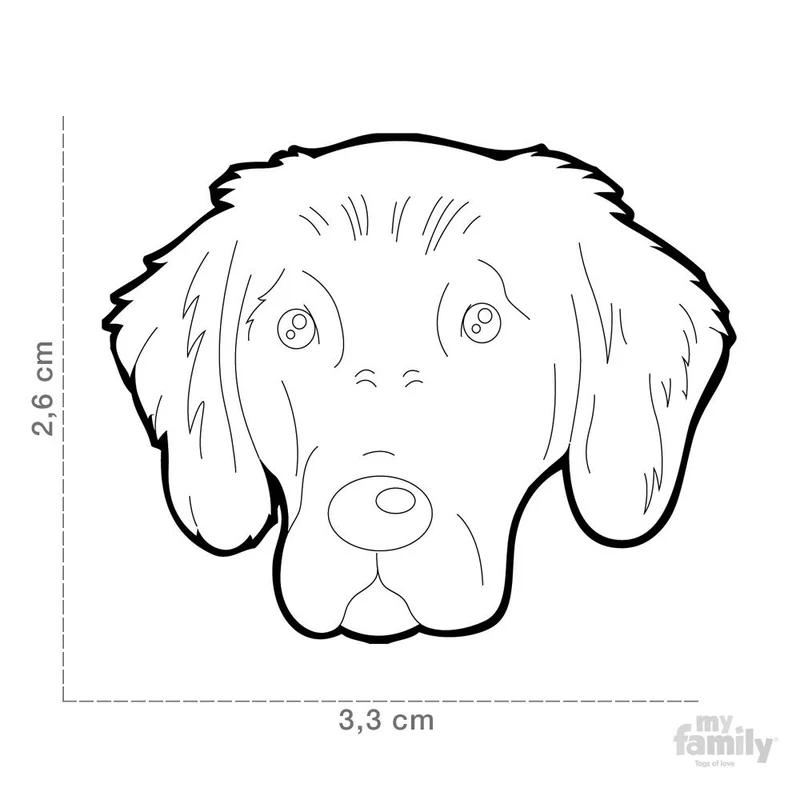 Médaille pour chien collection Friends, FLAT COAT RETRIEVER
