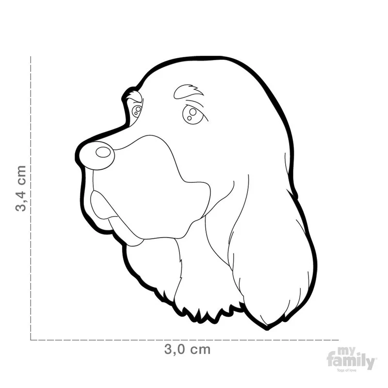 Médaille pour chien collection Friends, GORDEN SETTER