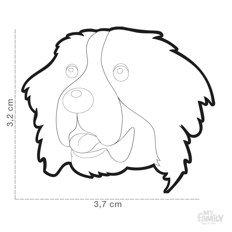 Médaille pour chien collection Friends, BOUVIER BERNOIS