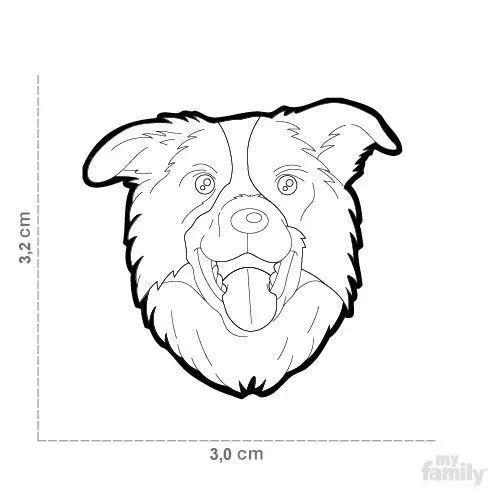 Médaille pour chien collection Friends, BORDER COLLIE