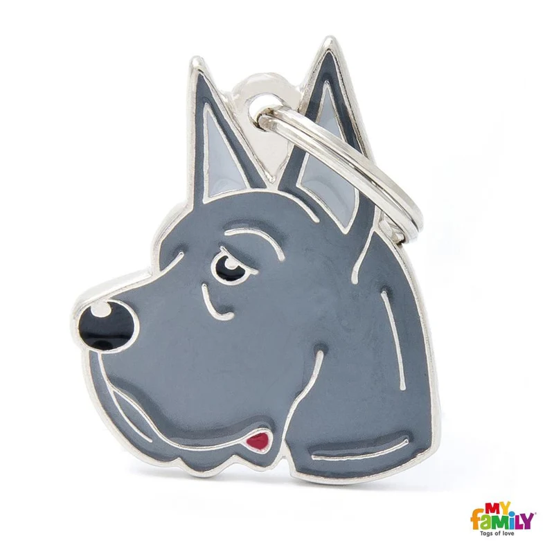 Médaille pour chien collection Friends, DANOIS, Couleurs variées