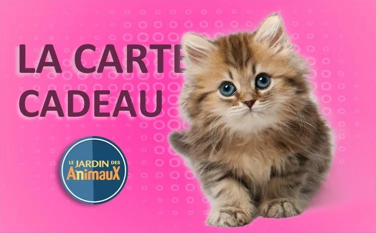 Carte cadeau (Physique pour achat en magasin)