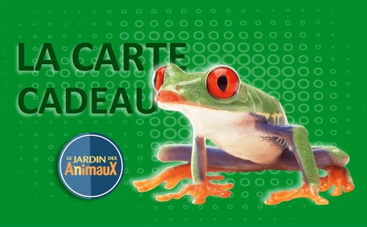 Carte cadeau (Physique pour achat en magasin)