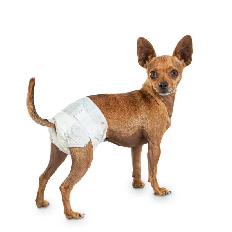 Couches jetables Dogit Clean, petites, paquet de 12